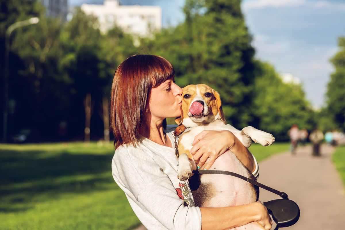 dispositivo per non perdere il cane